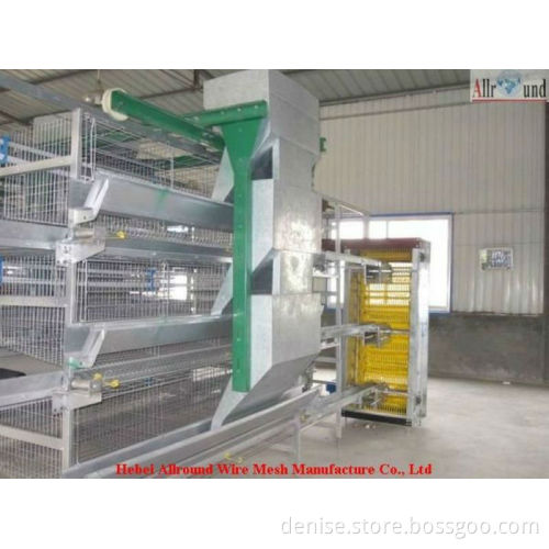 Professional design automatic poultry cages